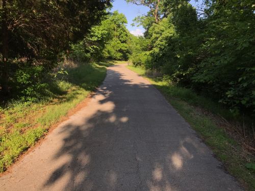 A winding, paved path surrounded by lush green trees and grass under a clear blue sky.