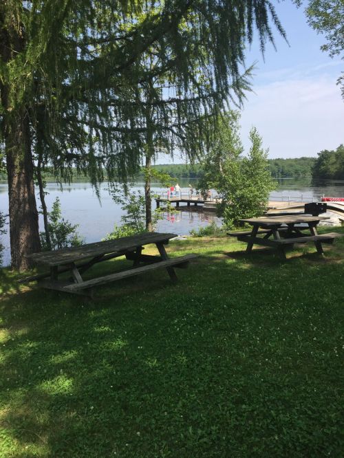 A serene lakeside scene with picnic tables, trees, and a dock in the background under a clear blue sky.