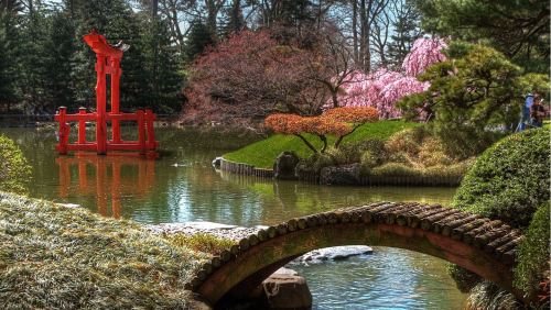 A serene garden scene featuring a red torii gate, a wooden bridge, and blooming cherry trees by a tranquil pond.