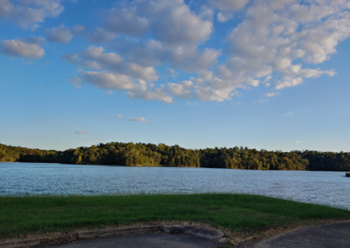 A serene lake surrounded by lush greenery under a blue sky with scattered clouds.