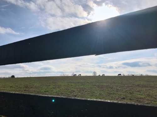 Horses grazing in a field, viewed through a wooden fence under a cloudy sky with sunlight peeking through.