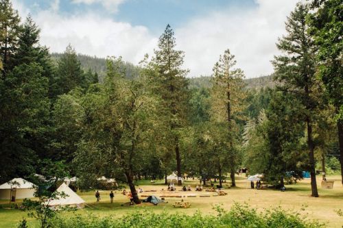 A scenic campsite surrounded by tall trees, with tents and people enjoying the outdoors in a lush green landscape.