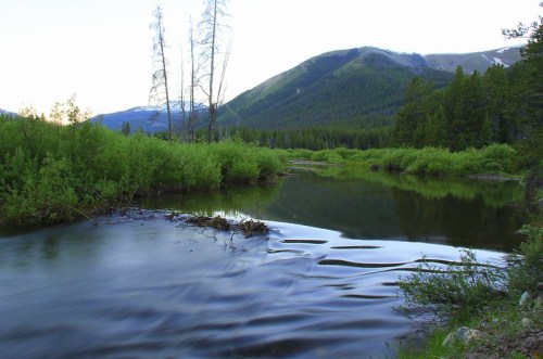 A serene river flows through lush greenery, with mountains in the background under a clear sky.