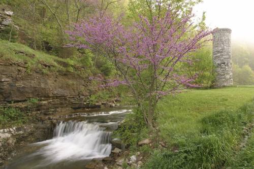 A serene landscape featuring a flowing stream, a stone tower, and a blooming pink tree amidst lush greenery.