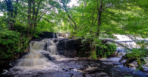 A serene waterfall cascades over rocks, surrounded by lush green trees and foliage in a tranquil natural setting.