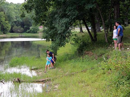 A family enjoys a day by the water, with two children exploring the shore while adults watch nearby.