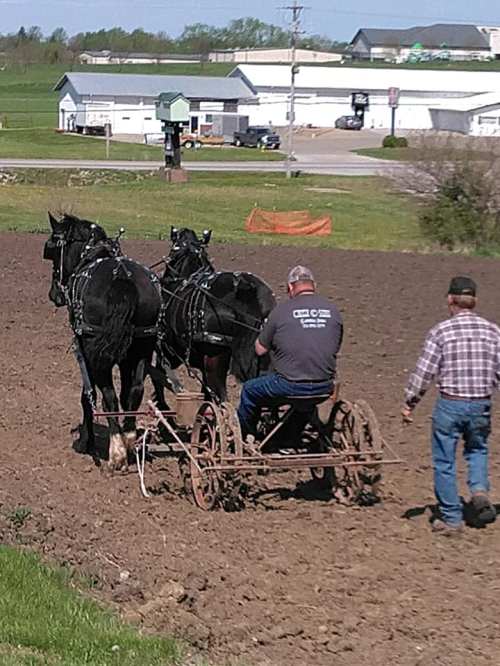 A farmer guides a plow pulled by two black horses in a field, with buildings and greenery in the background.