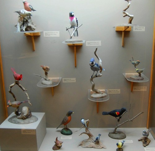 A display of various bird sculptures on stands, showcasing different species in a museum setting.