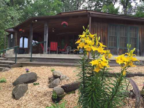 A rustic cabin with a porch surrounded by greenery and yellow flowers in the foreground.