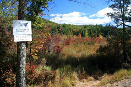 A scenic view of a colorful forest with a sign for Harris Center for Conservation. Blue sky and clouds above.