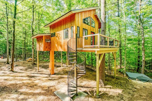 A modern treehouse with a spiral staircase, nestled among lush green trees in a forested area.