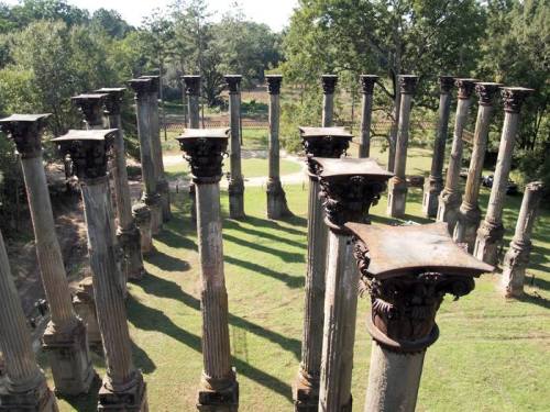 Ruins of tall columns with ornate capitals, surrounded by greenery and casting shadows on the ground.