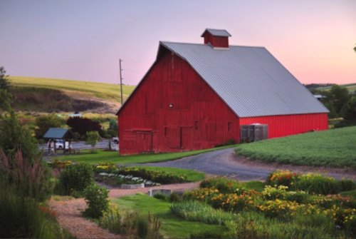 A red barn with a metal roof stands near a garden, surrounded by fields and a winding path at sunset.