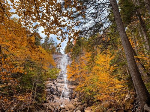 A waterfall cascades down rocky terrain, surrounded by vibrant autumn foliage in shades of orange and yellow.