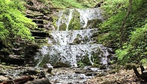 A serene waterfall cascades over moss-covered rocks, surrounded by lush green foliage in a tranquil forest setting.
