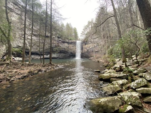 A serene waterfall cascades into a calm pool, surrounded by trees and rocky terrain in a tranquil forest setting.