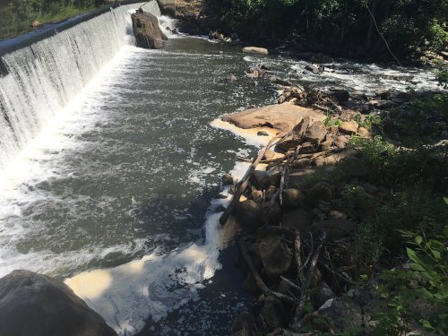 A river with a small waterfall, surrounded by rocks and greenery, showing foam and debris along the water's edge.