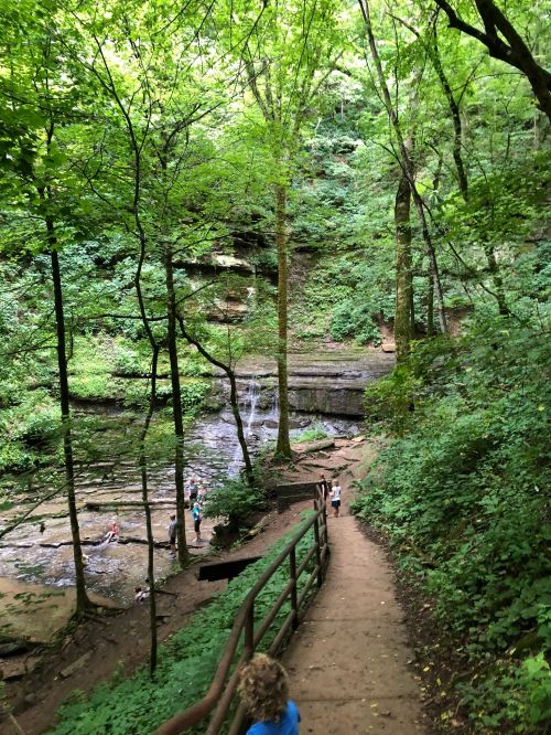 A lush green forest path leads to a serene waterfall, with people enjoying the natural scenery.
