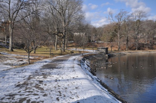 A snowy park path beside a calm pond, with ducks swimming and bare trees lining the shore under a blue sky.