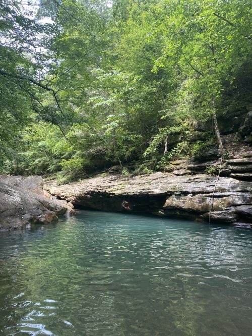 A serene river flows through a lush green forest, with rocky banks and clear blue water reflecting the trees above.