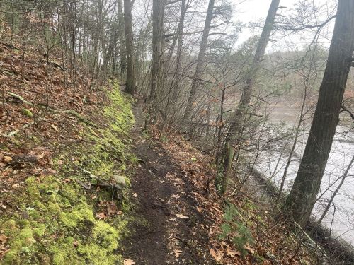 A narrow, muddy trail lined with trees and moss, alongside a riverbank in a wooded area.