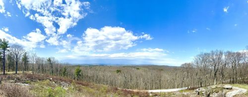 Panoramic view of a forested landscape under a bright blue sky with scattered clouds.