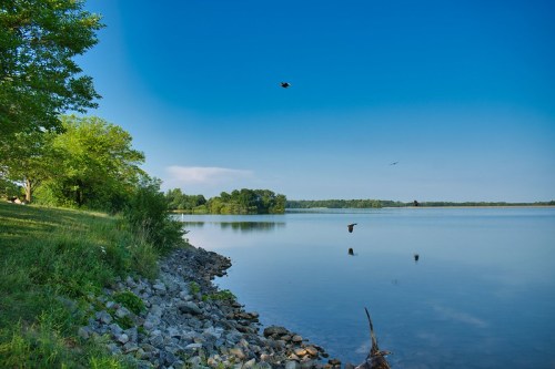 A serene lakeside view with clear blue skies, lush greenery, and a calm water surface reflecting the landscape.