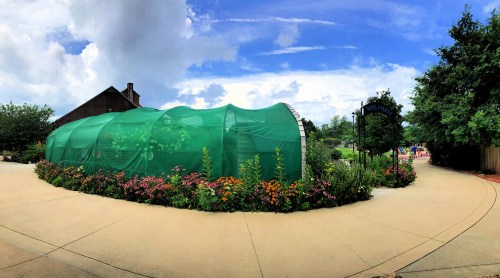A green mesh structure surrounded by colorful flowers and a pathway, under a blue sky with clouds.
