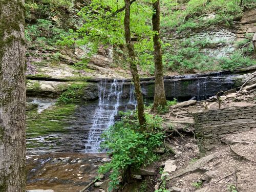 A serene waterfall cascades into a calm pool, surrounded by lush greenery and rocky terrain.