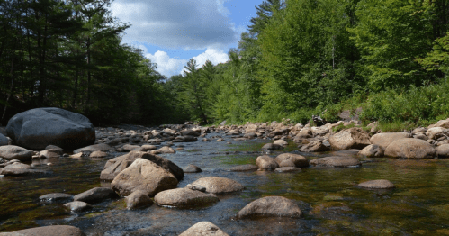 A serene river flows through a rocky landscape, surrounded by lush green trees under a partly cloudy sky.