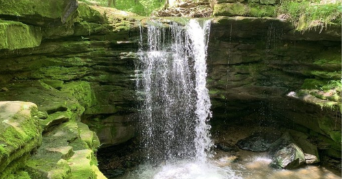 A serene waterfall cascading over moss-covered rocks in a lush green setting.