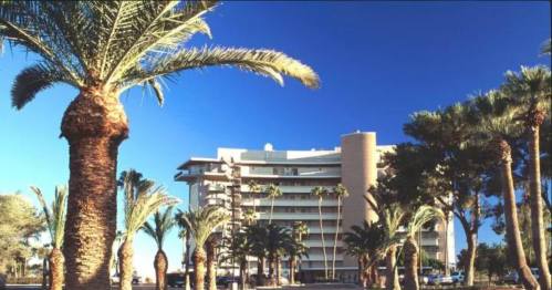 A modern building surrounded by palm trees under a clear blue sky.