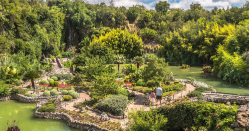 A lush garden with winding paths, vibrant plants, and a serene pond, with visitors strolling through the scenic landscape.