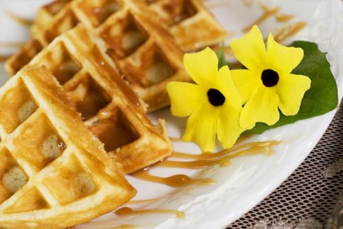 A plate of golden waffles drizzled with syrup, accompanied by two bright yellow flowers.