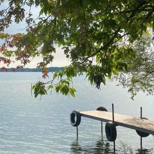 A serene lakeside scene with a wooden dock extending over calm water, surrounded by lush green trees.