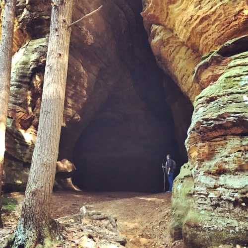 A person stands at the entrance of a large cave, surrounded by tall trees and rocky formations.