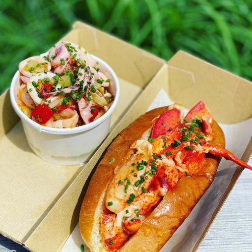 A lobster roll with chunks of lobster in a toasted bun, alongside a cup of seafood salad with herbs and vegetables.