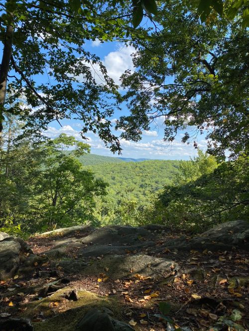A scenic view of lush green hills and a blue sky framed by tree branches.
