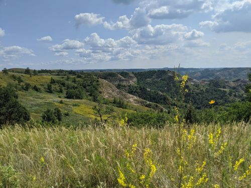 A scenic view of rolling hills and valleys, with green vegetation and wildflowers under a partly cloudy sky.