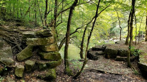 A serene forest scene with rocky formations, lush green trees, and a calm body of water in the background.