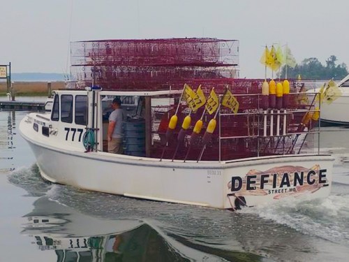 A fishing boat named "Defiance" with traps and buoys, cruising through calm waters.