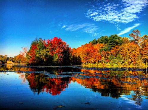 Vibrant autumn trees reflect in a calm lake under a clear blue sky, showcasing rich reds and oranges.