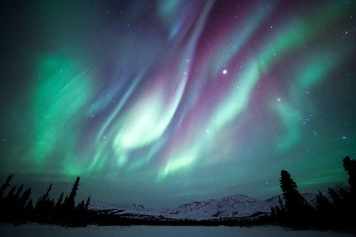 Vibrant auroras dance across a night sky, with shades of green and purple over a snowy landscape and distant mountains.
