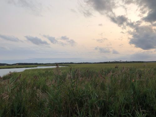 A serene landscape featuring a grassy marsh, a calm waterway, and a cloudy sky at dusk.
