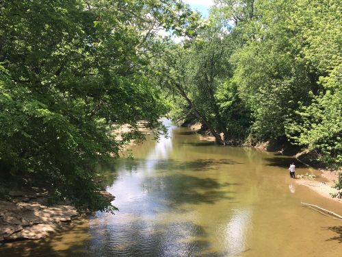 A serene river flows through a lush green landscape, with trees lining the banks and a person standing by the water's edge.