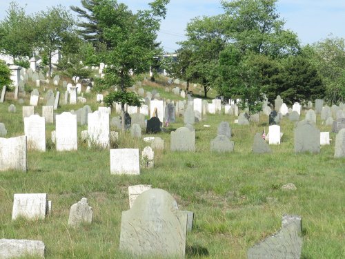 A peaceful cemetery with numerous gravestones set among green grass and trees under a clear blue sky.