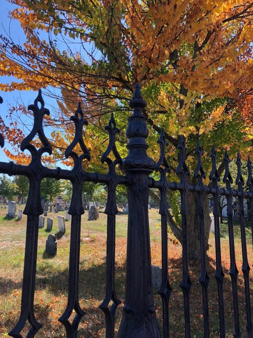 A black wrought iron fence with ornate details, surrounded by colorful autumn trees and a cemetery in the background.