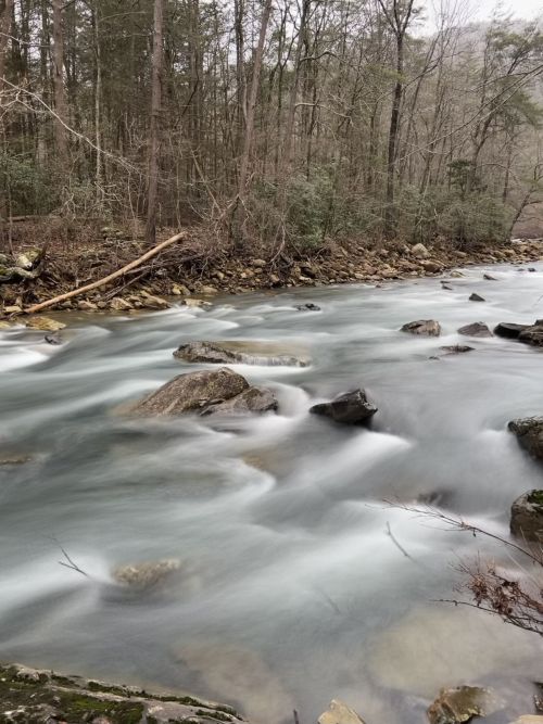 A serene river flows over smooth rocks, surrounded by trees and a tranquil forest landscape.