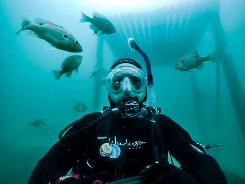 A diver in scuba gear surrounded by fish underwater, with a structure visible above.