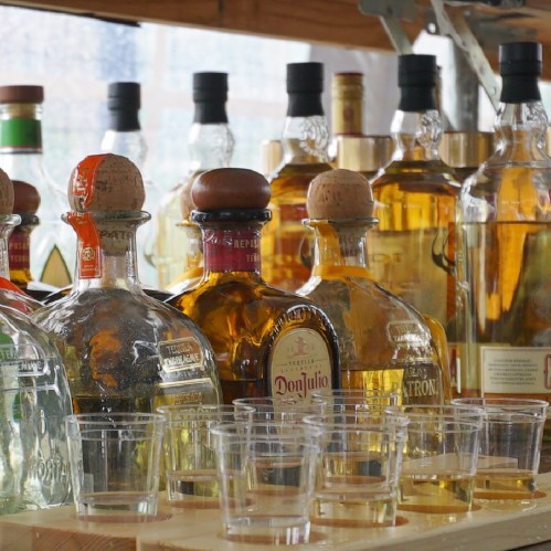 A variety of tequila bottles displayed on a shelf, with clear tasting cups in front.